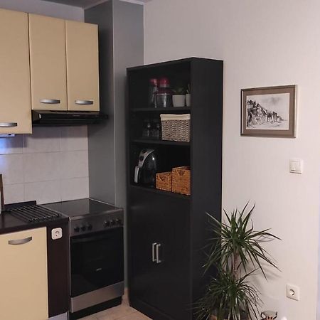 Apartman Hidden Gem シベニク エクステリア 写真